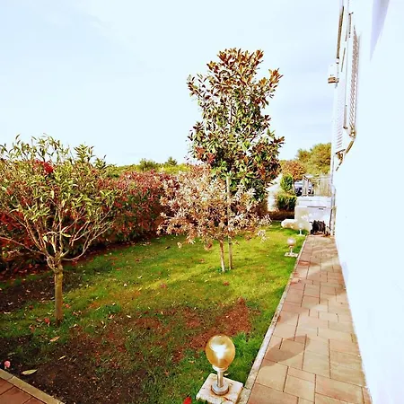 Drago Casa de Férias